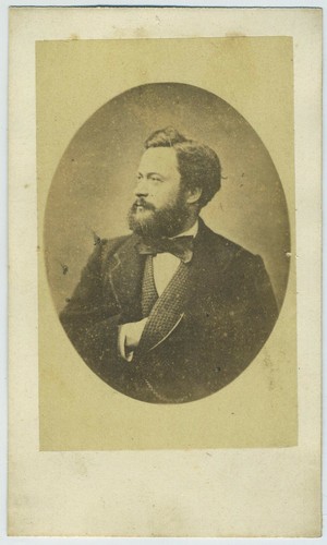 Portrait d'Edmond About (1828-1885), romancier, polémiste | Paris Musées