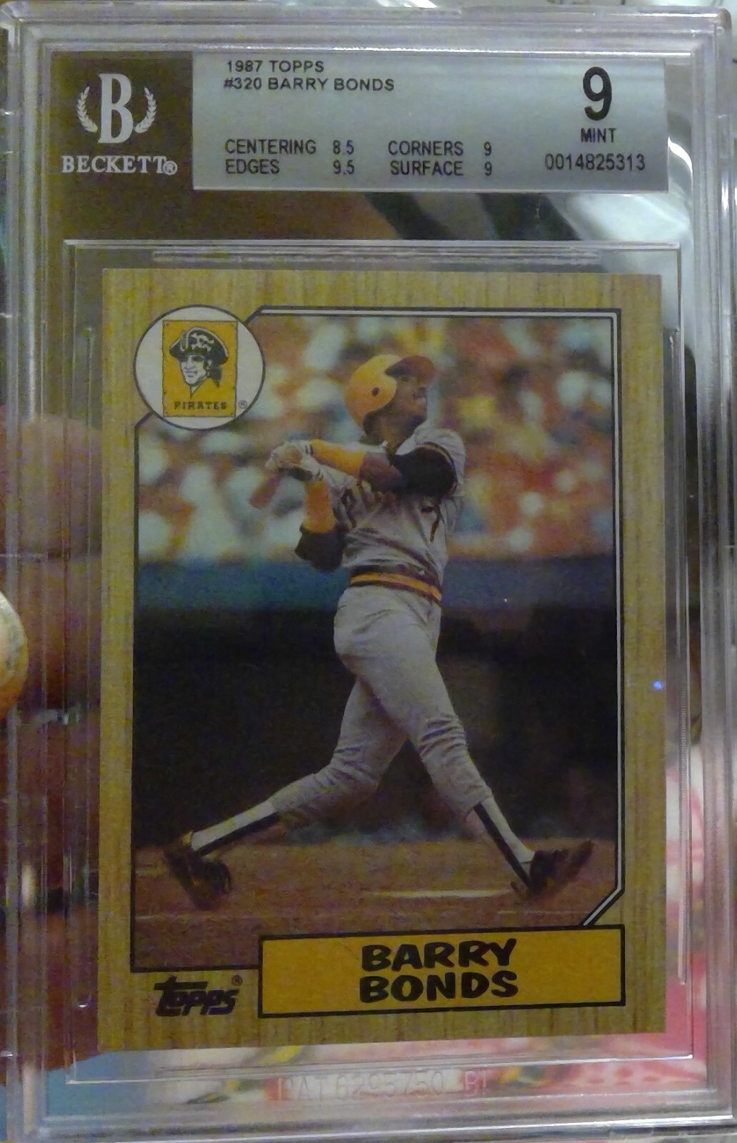 Pittsburgh Pirate Baseball Cards