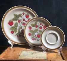 International China Country Living Strawberry Patch SY-12673 Dinner or Salad
