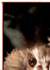 Bild 261 von 355