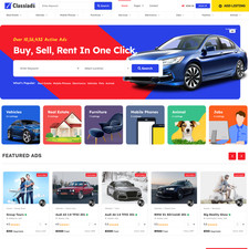 Classified Websites Businesses for Sale with Free Web Hosting  Installation