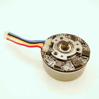 DC12V 4818/4812 High   Micro Brushless Motor For MUSCLE Massage Gun *pt