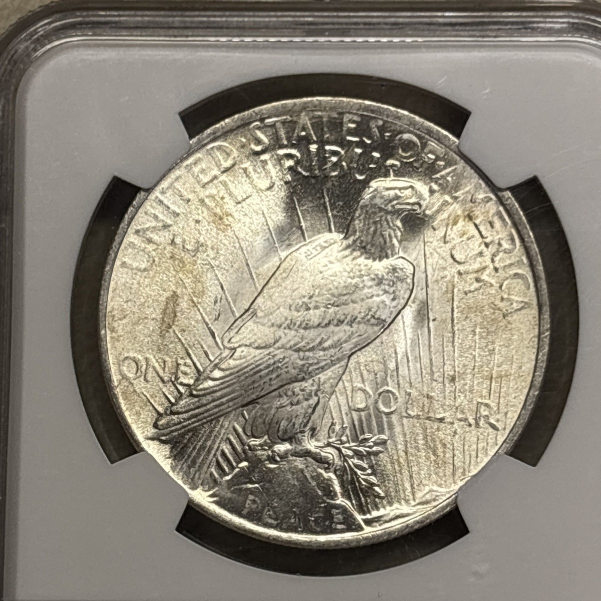 1923 Silver Peace Dollar NGC MS 64 | eBay