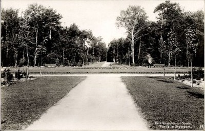 Ak Fürstenwalde an der Spree, im Stadtpark - 11540562
