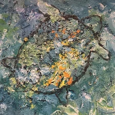 Original Abstract VTG Turtle Painting On Canvas - 24 x 24 Inches