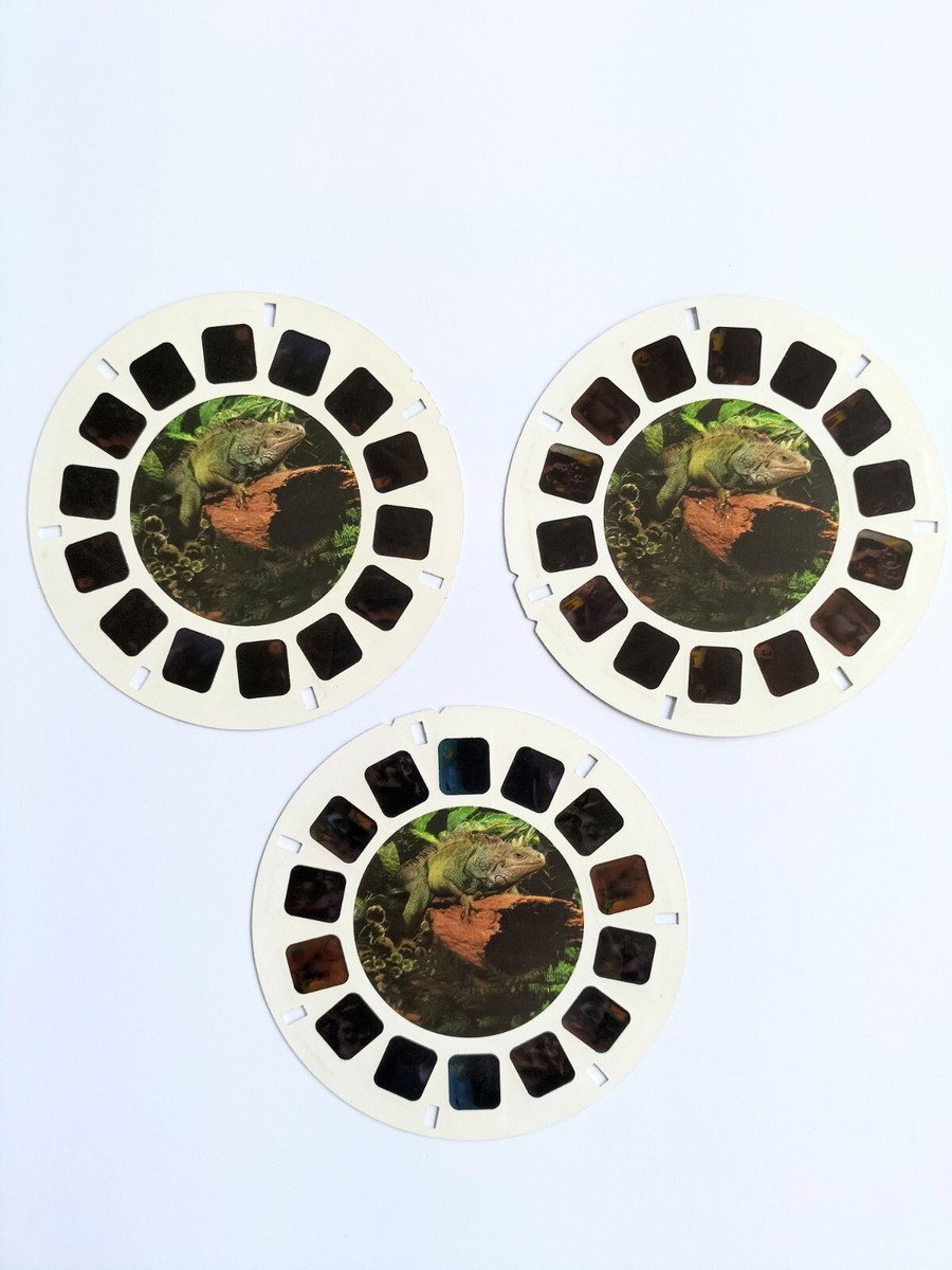 自分じゃない人 1998 REPTILES Cold Blooded Creatures Mattel VIEW-MASTER 3 reels ID