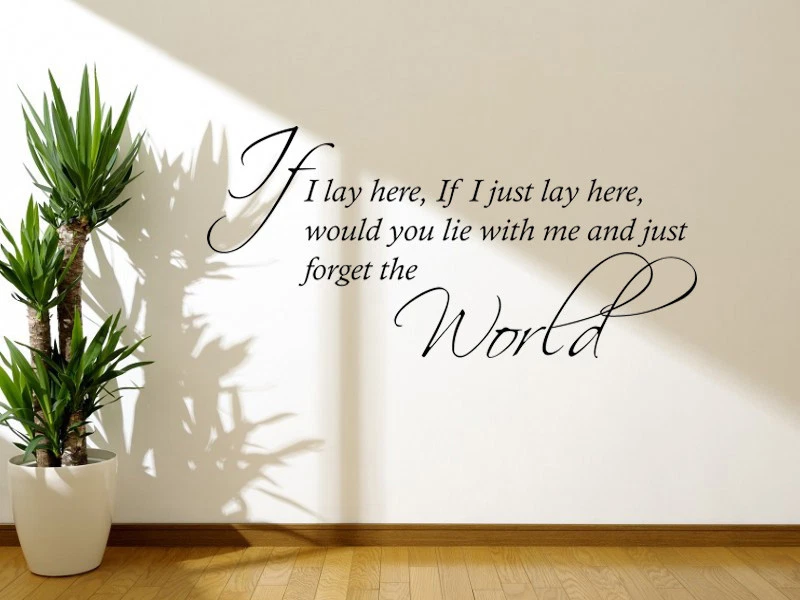 Snow Patrol Lyrics "Chasing Cars" Wall Art Sticker, Music, Vinyl Transfer.
Opens in a new window or 
