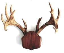 Black Walnut The Deer Stand Antler Mounting Kit