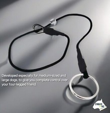 Collare Premium Choke Slip Addestramento Cani Gundog Prong Grot Dominante Francese Passeggiata