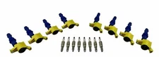 Ignition Coils & Spark Plugs for 04-08 F150 Expedition 5.4 Explorer Mustang 4.6