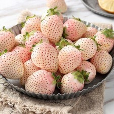100+White Strawberry Seeds