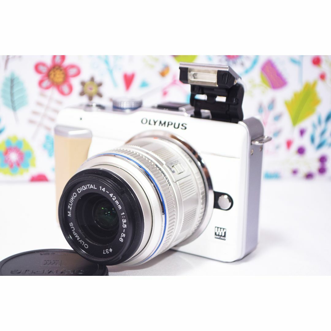 Olympus Lightest Mirrorless Camera 2020 Olympus Pen Lite E-PL1s