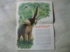 THE MIGHTY JUMBO AD FOR Badger Paper Mills Inc Peshtigo Wisconsin,1961? — photo 3