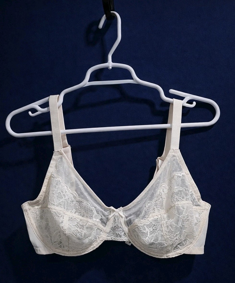 HSIA 36D White Lace Underwire Bra Sheer Mesh Unlined Full Coverage