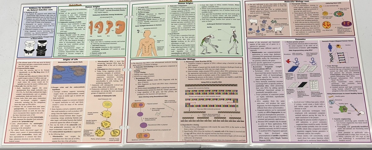 Biology 2 Quick Study laminated Academic Outline BarCharts
