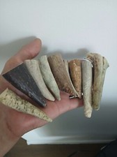 42.Elk horn Blanks For Knife Handle.(NATURAL).