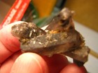 21g 1.8x1.2inch QUARTZ CRYSTAL CLUSTER W/GRAPHITE INCLUSIONS CHINA #323 — photo 10