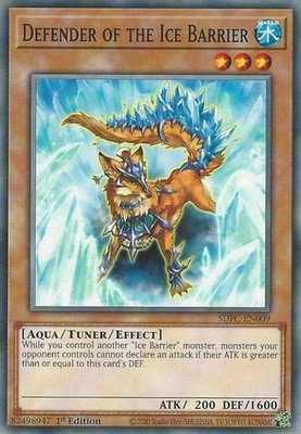 Defender of the Ice Barrier - SDFC-EN009 - Common - 1st Edition - Lightly Played