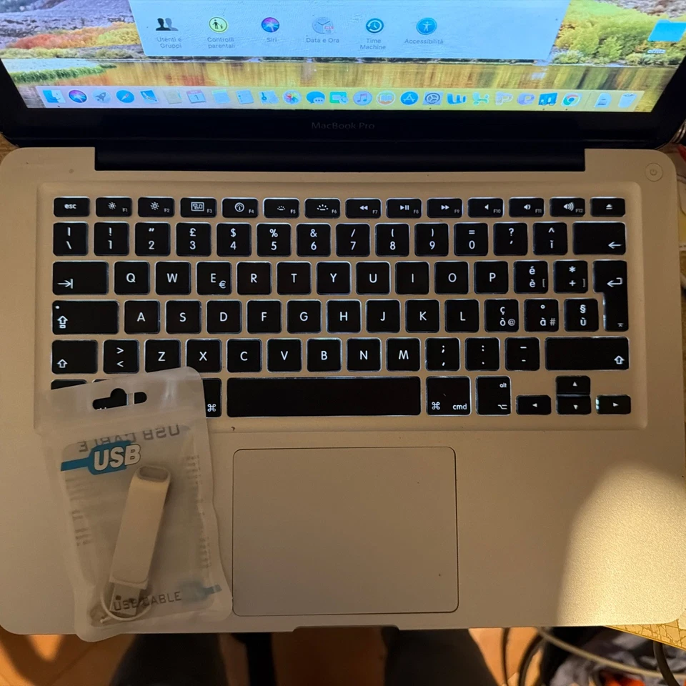 Apple MacBook Pro 13" Mid 2010 4GB RAM, SSD 128GB + Scatola+USB 2Tera - Immagine 4 di 4