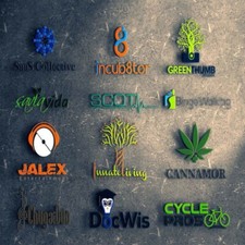 Professional Custom LOGO design,100 unlimited revision Free Logo Animations