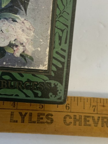 The Burgess Flower Book for Children - Thornton W Burgess 1928 HC READ - Picture 10 of 18