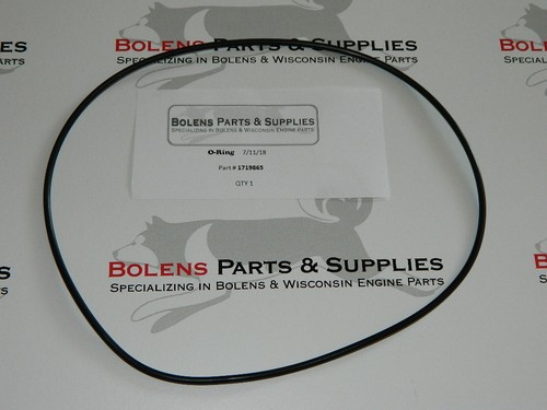 Bolens/ Eaton Hydrostatic Transmission O-Ring 1719865 Free Shipping!