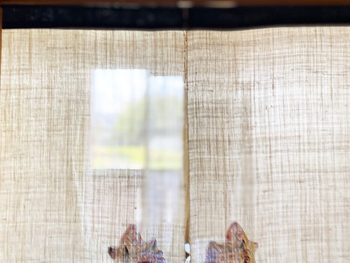 Kyoto Noren Japanese hanging curtain Japan Om Aun Foo dog Handpaint Japan - Picture 7 of 12