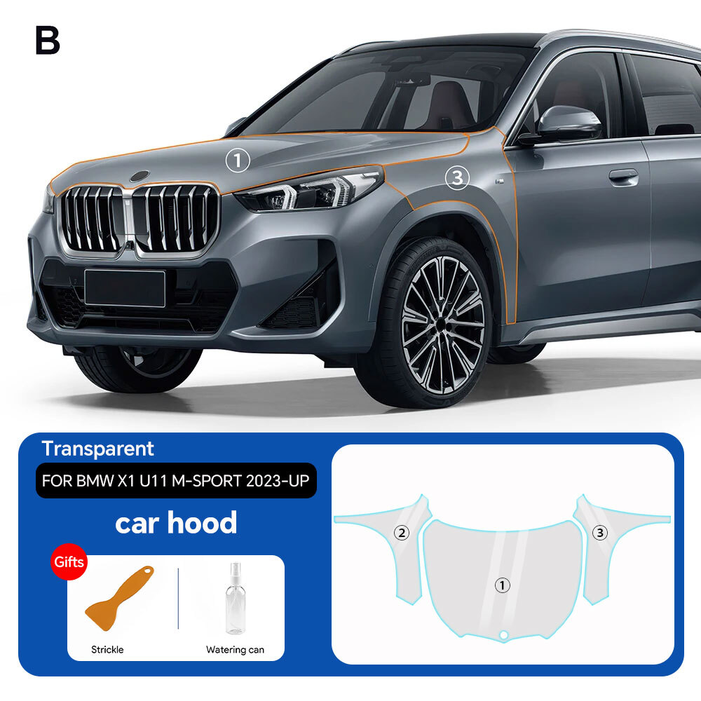 Standard Hood Fender & Mirrors | 2019 BMW X1 M-SPORT Standard Hood Fender & Mirrors | 2019 BMW X1 M-SPORT