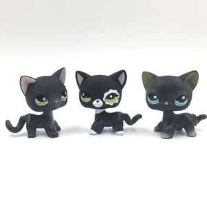 lps cat black