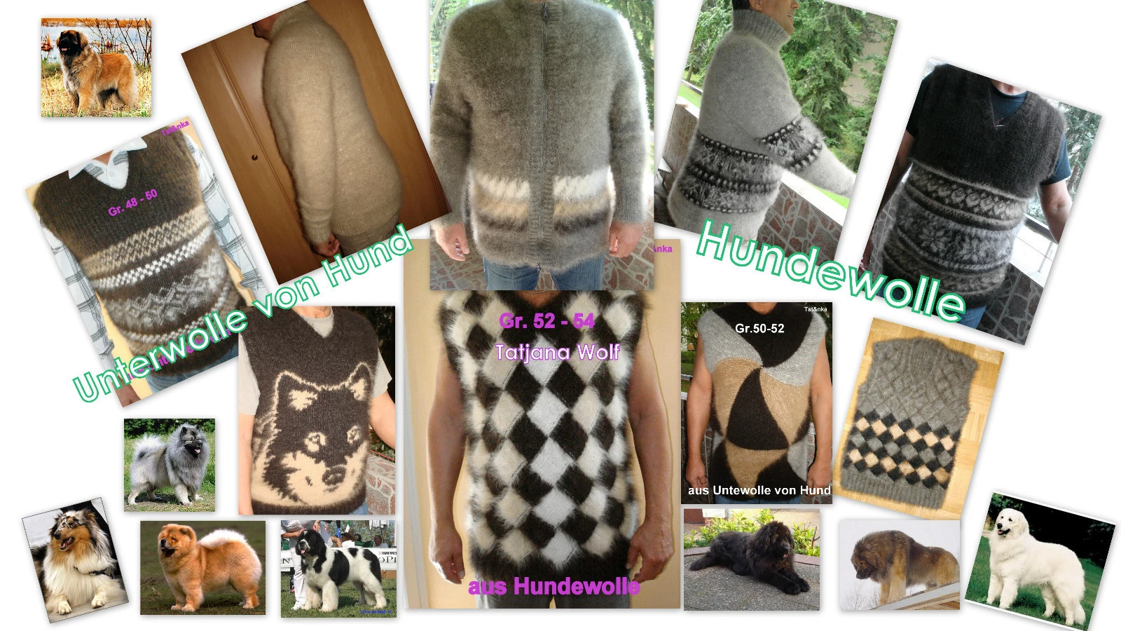 Bild 3 von 11