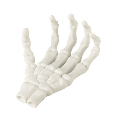 Gothic Anatomical Skeleton Hand Ring Holder Resin Jewelry Display Decor Stand
