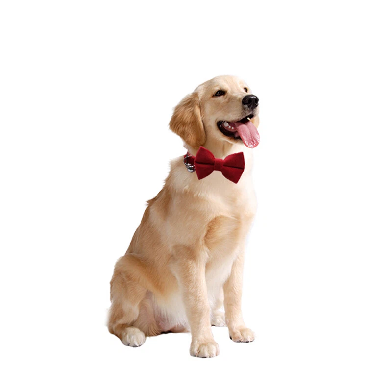 Collar para mascotas Cuello de campana Cuello de moño Accesorios para mascotas Cuello de gamuza Terciopelo ajustable Foto 3 de 4