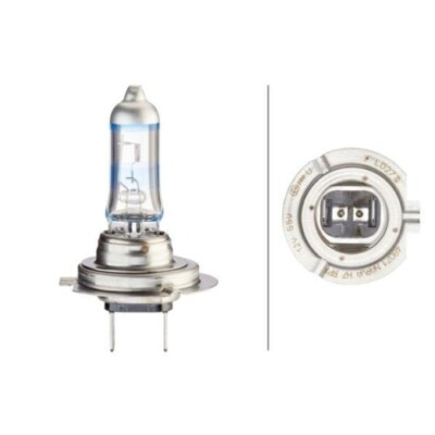1x Glühlampe, Abbiegescheinwerfer HELLA 8GH 223 498-031 passend für WEIRO