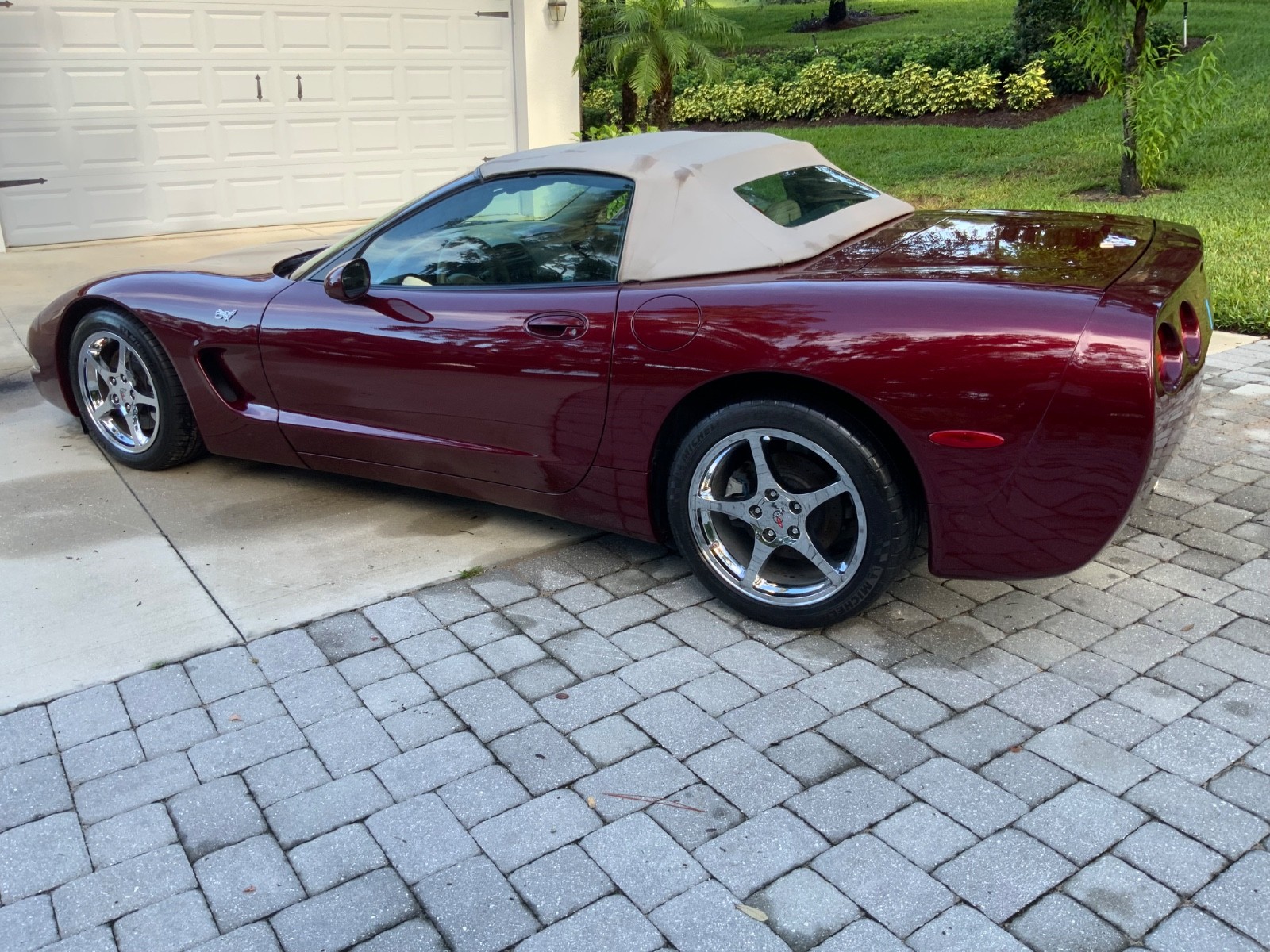 2003 Red Chevrolet Corvette   | C5 Corvette Photo 3
