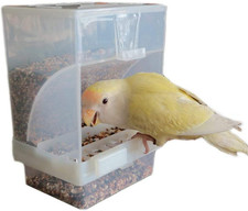 Automatic Bird Feeder Seed Feeders Food Container for Parrot Canary Cockatoo