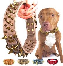 Spiked Studded Dog Collar with Large Sharp Spikes,2 Inch Wide Leather Dog Collar