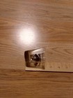Binions Horseshoe Shot Glass With Royal Flush — photo 3