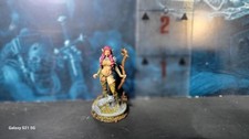 Dungeons and Dragons 25mm Elf female Druid pinup Painted miniature