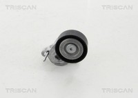 Riemenspanner Keilrippenriemen Triscan 8641 163023 FüR HF CB1 MAX CCN Ecosport 7