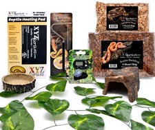 Boa Constrictor Snake Habitat 10 Gallon Terrarium Snake Starter Kit XYZReptiles