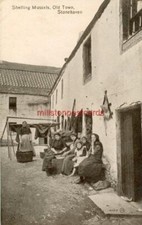 REAL PHOTO POSTCARD OF SHELLING MUSSELS AT STONEHAVEN, KINCARDINSHIRE, SCOTLAND
