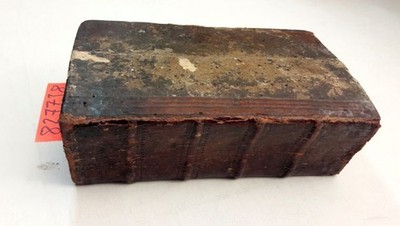 Grundlegung Der Universal-Historie Bis gegen das Ende des Jahres 1769. Nebst ein