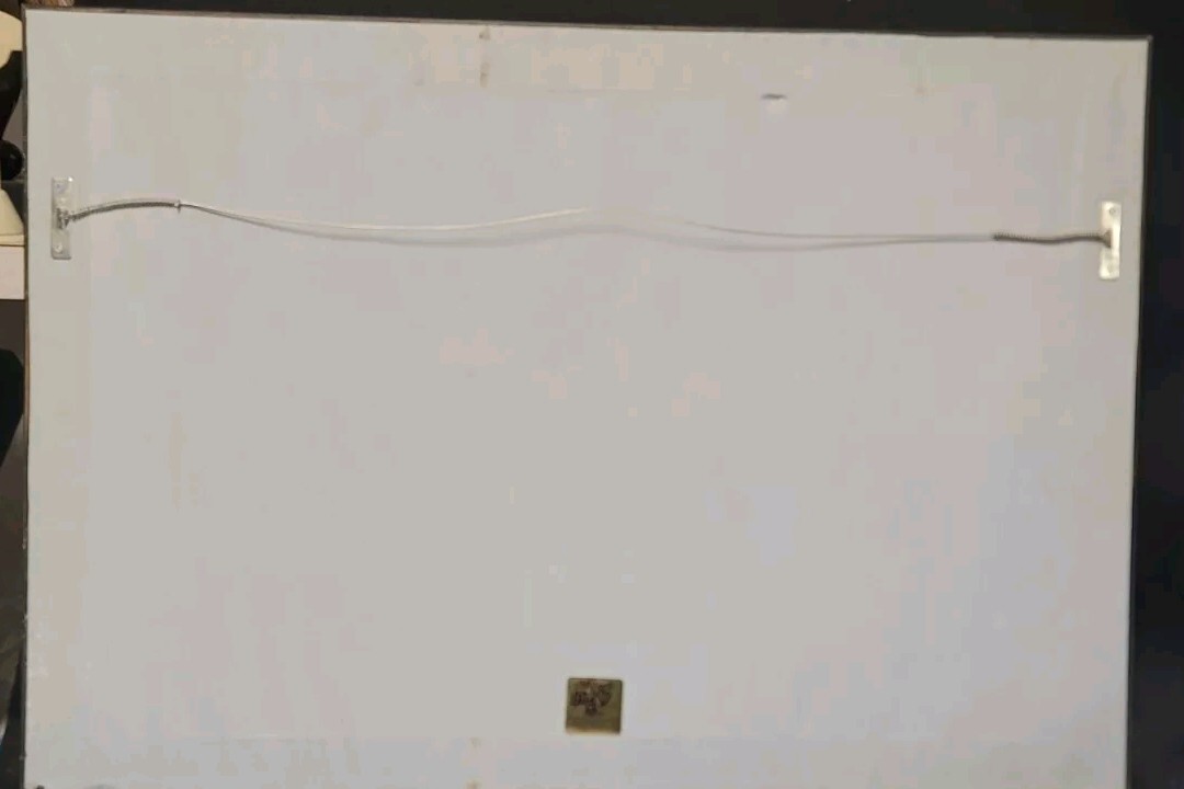 Picture 9 of 9