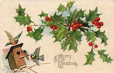 Birds Flying To Bird House Surrounded By Holly and Snow Christmas Postcard