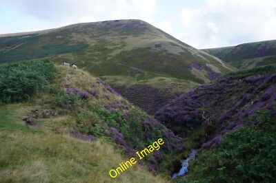 Photo 6x4 Two sheep going round the bend Abbey Brook Abbey Brook in the b c2014