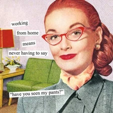 Anne Taintor, 20 Count Cocktail Paper Napkins, 5 x 5-In Working from Home New