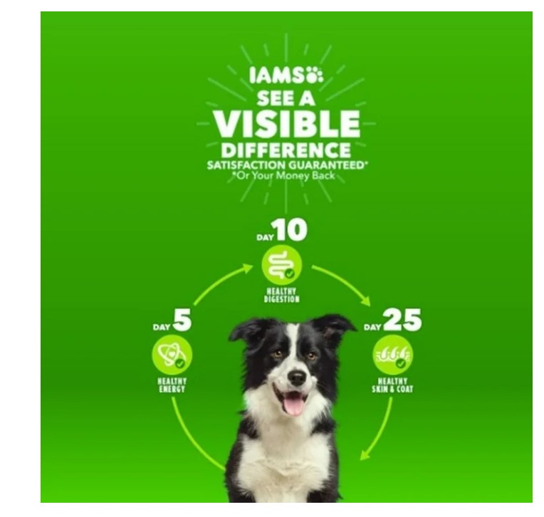 (2 pack) Iams Proactive Health Chicken & Whole Grain Flavor  Dog Food 30 lb