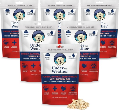 Natural Stomach Support Dog Food | Freeze-Dried Turkey, Sweet Potato, 6 Pack - Picture 3 of 9