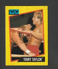 1991 Impel WCW Terry Taylor #75