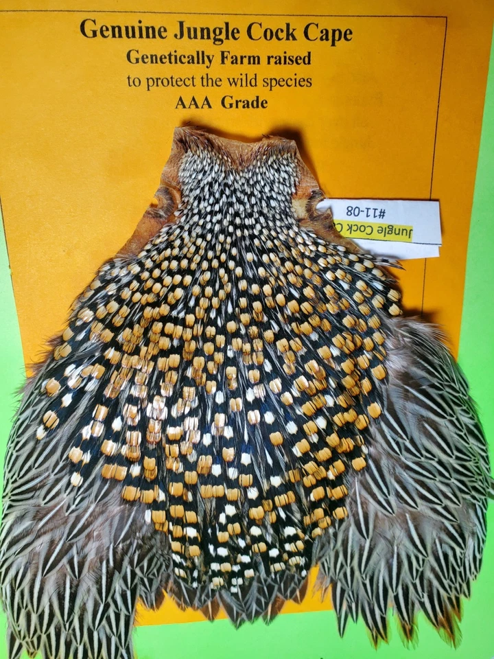 Capa Jungle Cock SUPER AAA 11-08 EE. UU. Solo  Foto 4 de 4